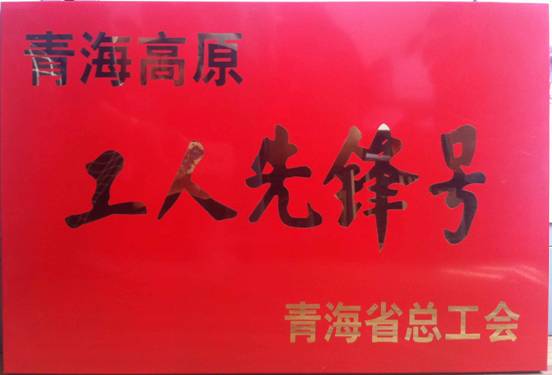 祝賀特鋁合金公司鑄造車(chē)間獲得青海高原“工人先鋒號(hào)”榮譽(yù)稱號(hào)